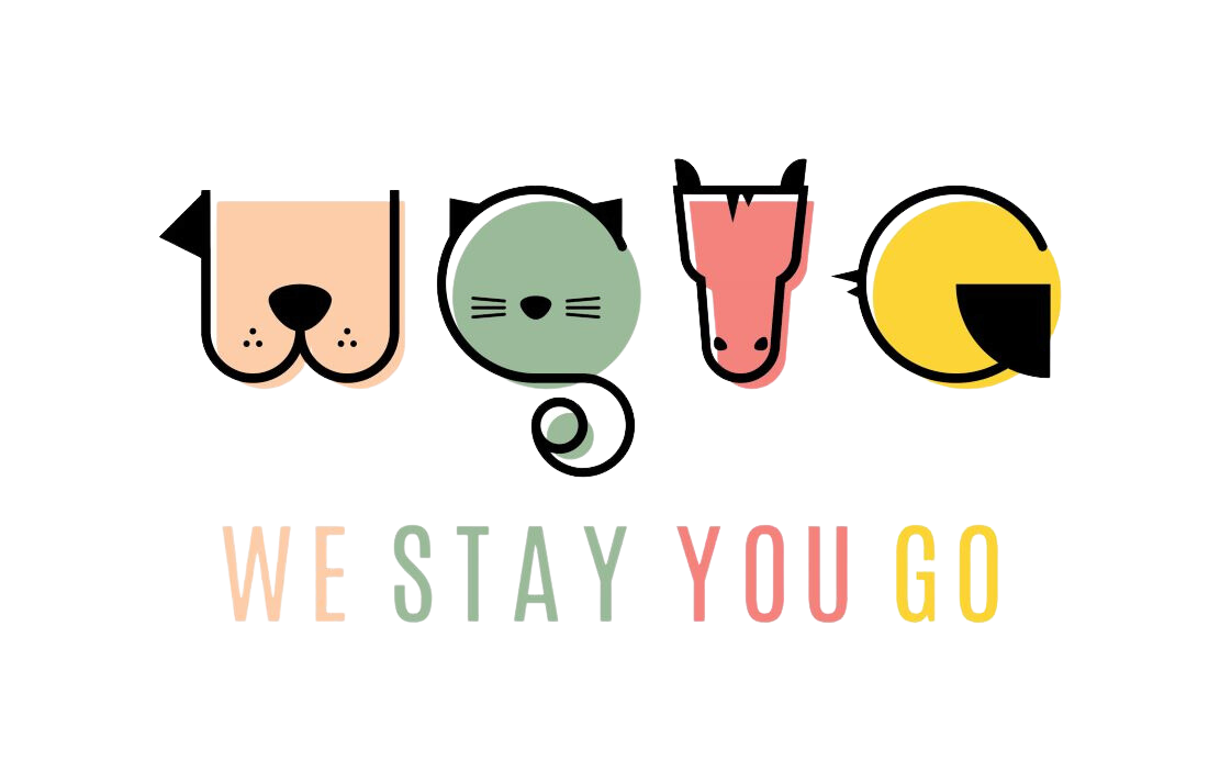 We Stay You Go